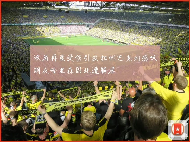 浓眉再度受伤引发担忧巴克利感叹朋友哈里森因此遭解雇