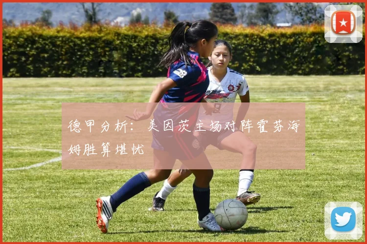 德甲分析：美因茨主场对阵霍芬海姆胜算堪忧