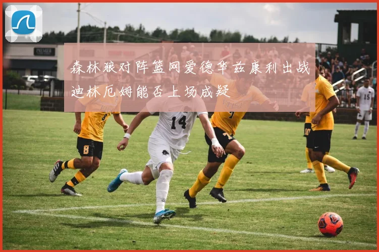 森林狼对阵篮网爱德华兹康利出战迪林厄姆能否上场成疑