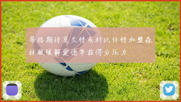 蒂格期待莫兰特或科比怀特加盟森林狼缓解爱德华兹得分压力