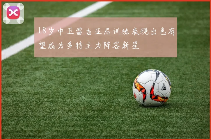 18岁中卫雷吉亚尼训练表现出色有望成为多特主力阵容新星